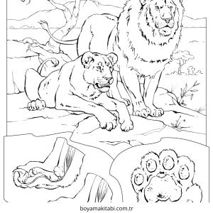 Aslan boyama sayfası – çocuklar için, çizgi film temalı