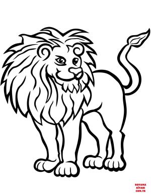 Aslan boyama sayfası, Lions coloring page, , lions african lion 