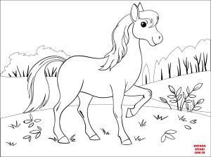 At boyama sayfası, Horse coloring page, , horses horse 