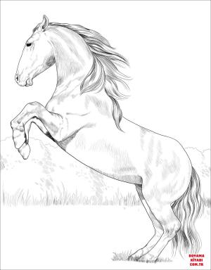 At boyama sayfası, Horse coloring page, , horses lusitano horse 