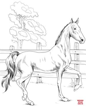 At boyama sayfası, Horse coloring page, , horses american saddlebred 