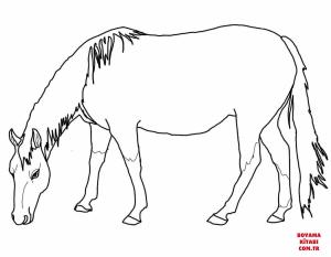 At boyama sayfası, Horse coloring page, , horses grazing american quarter horse 