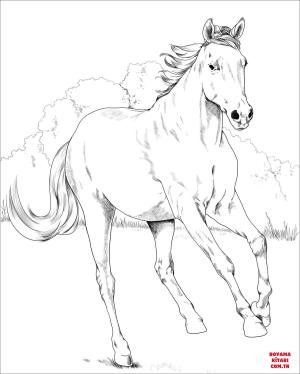 At boyama sayfası, Horse coloring page, , horses mustang mare 