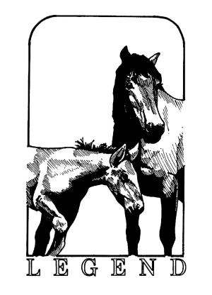 At boyama sayfası, Horse coloring page, , horses legend 