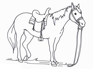 At boyama sayfası, Horse coloring page, Temel At, 