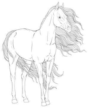 At boyama sayfası, Horse coloring page, Normal At, 