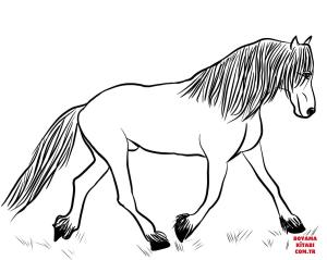 At boyama sayfası, Horse coloring page, , horses friesian horse 