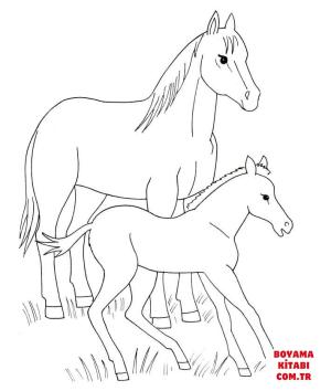 At boyama sayfası, Horse coloring page, , horses horse and foal 