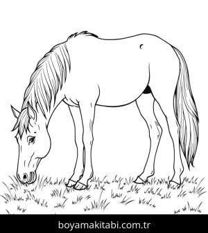 At boyama sayfası, Horse coloring page, sevimli, karakterli, yuvarlak hatlı