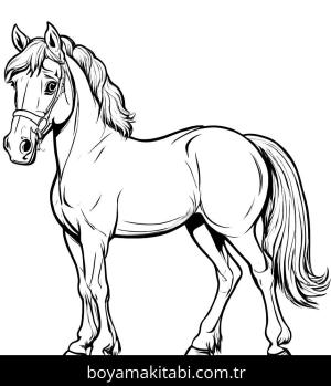 At boyama sayfası, Horse coloring page, renkli, şekilli, eğlenceli