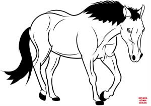 At boyama sayfası, Horse coloring page, , horses horse 