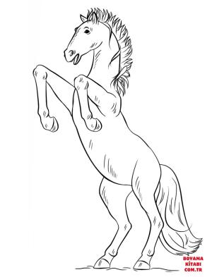 At boyama sayfası, Horse coloring page, , horses bucking mustang 