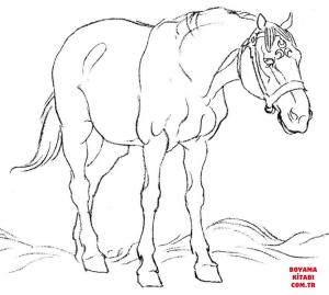 At boyama sayfası, Horse coloring page, , horses horse in field 