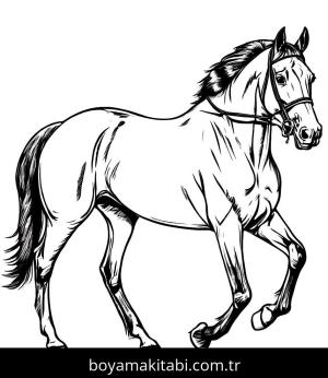 At boyama sayfası, Horse coloring page, minimal, klasik, yuvarlak hatlı