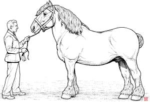 At boyama sayfası, Horse coloring page, , horses clydesdale horse 