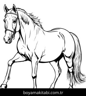 At boyama sayfası, Horse coloring page, detaylı, ince çizgili, karikatür