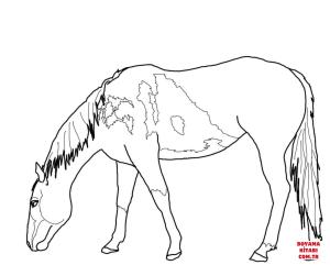 At boyama sayfası, Horse coloring page, , horses grazing mustang 