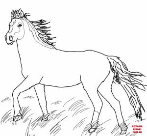 At boyama sayfası, Horse coloring page, , horses mustang wild horse 