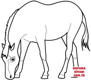 At boyama sayfası, Horse coloring page, , horses horse eating grass 