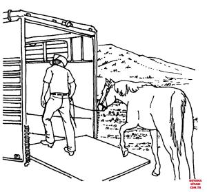 At boyama sayfası, Horse coloring page, , horses horse is loading to a trailer 