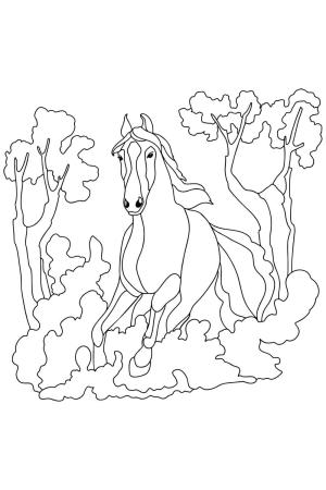 At boyama sayfası, Horse coloring page, Ormanda koşan At, 