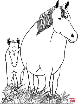 At boyama sayfası, Horse coloring page, , horses horse mare and foal 