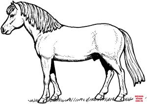 At boyama sayfası, Horse coloring page, , horses horse 