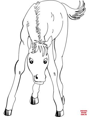 At boyama sayfası, Horse coloring page, , horses foal 