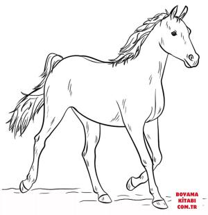 At boyama sayfası, Horse coloring page, , horses grey arabian horse 