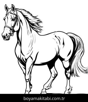 At boyama sayfası, Horse coloring page, harika, popüler, karakterli