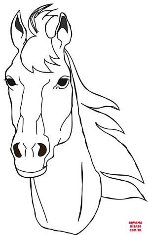 At boyama sayfası, Horse coloring page, , horses horse head 