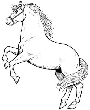 At boyama sayfası, Horse coloring page, Temel At Atlama, 