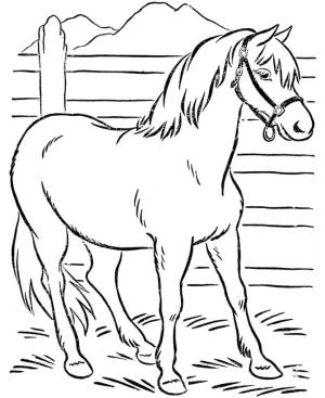 At boyama sayfası, Horse coloring page, Ahırda At, 