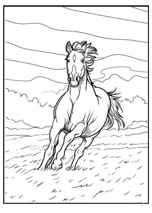 At boyama sayfası, Horse coloring page, Bozkırda koşan At, 