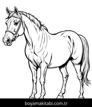 At boyama sayfası, Horse coloring page, karikatür, yuvarlak hatlı, harika
