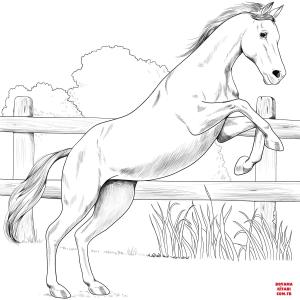 At boyama sayfası, Horse coloring page, , horses anglo arabian 