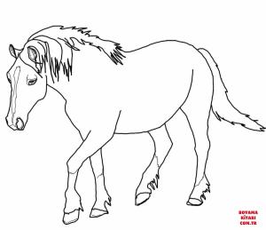 At boyama sayfası, Horse coloring page, , horses palomino welsh horse 