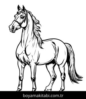 At boyama sayfası, Horse coloring page, detaylı, çizgi, renkli