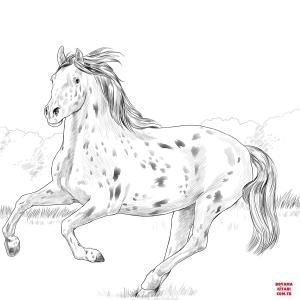 At boyama sayfası, Horse coloring page, , horses knabstrupper horse 