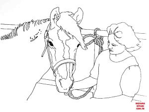 At boyama sayfası, Horse coloring page, , horses adopted wild horse 