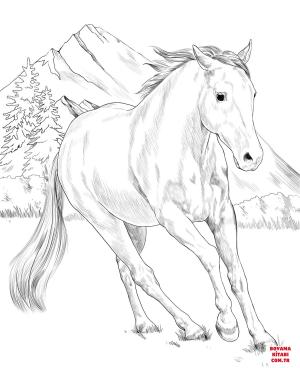 At boyama sayfası, Horse coloring page, , horses american paint horse 