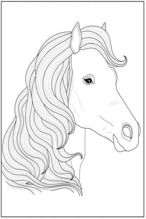 At boyama sayfası, Horse coloring page, At Kafası, 