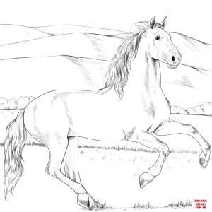 At boyama sayfası, Horse coloring page, , horses andalusian horse 