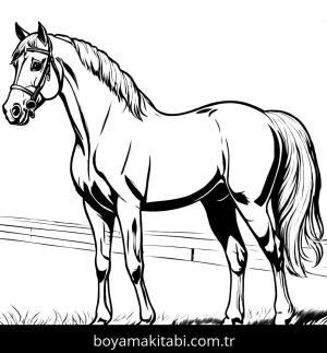 At boyama sayfası, Horse coloring page, şirin, detaylı, detaylı