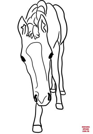 At boyama sayfası, Horse coloring page, , horses horse foal 