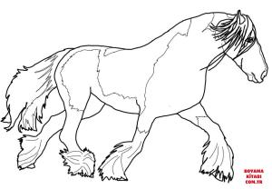 At boyama sayfası, Horse coloring page, , horses gypsy vanner horse 