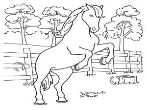 At boyama sayfası, Horse coloring page, At Bedava Resimler, 