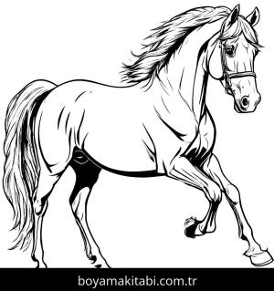 At boyama sayfası, Horse coloring page, klasik, doğal, çizgi