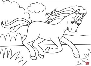 At boyama sayfası, Horse coloring page, , horses bronco 