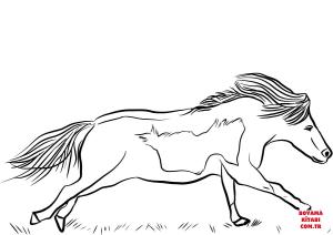 At boyama sayfası, Horse coloring page, , horses miniature horse runs 